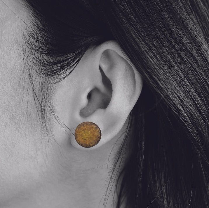 Puces Ida - porcelaine noire